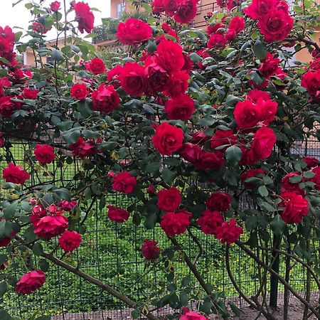 B&B Anna Болсена Екстериор снимка